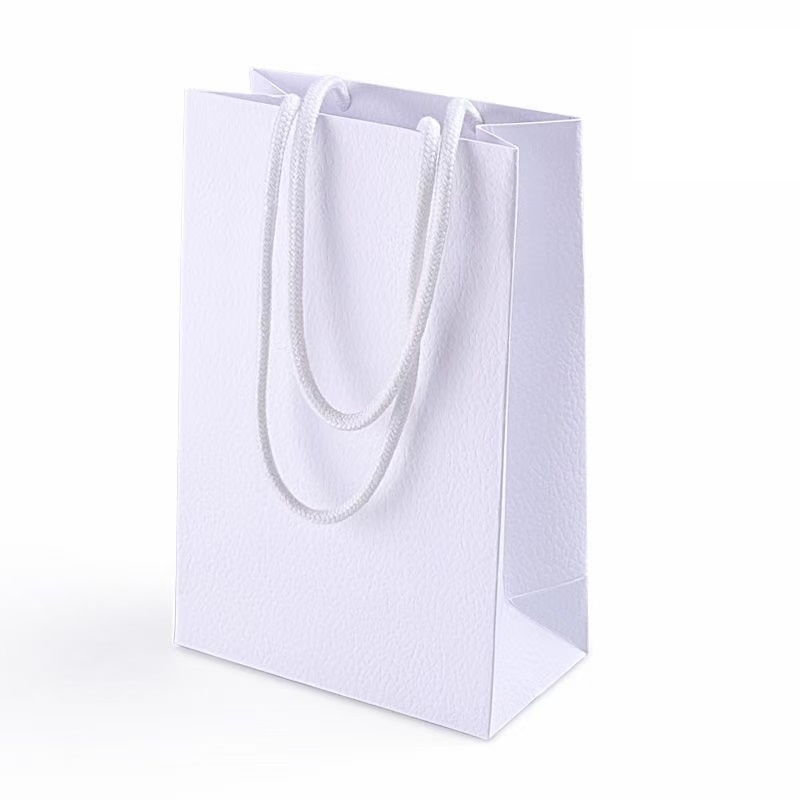 DIOR luxury paper shopping gift bag