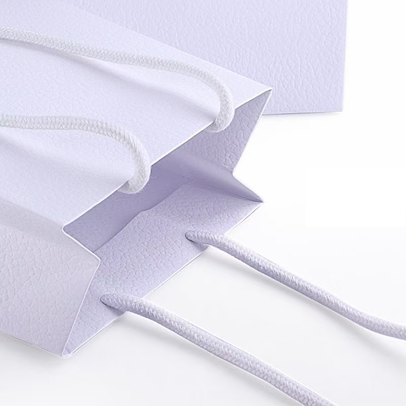 DIOR luxury paper shopping gift bag