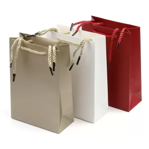 Wholesale Coated Paper Gift Bag with Vertical Embossing | Twisted Rope Handle